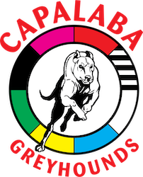 Club logo