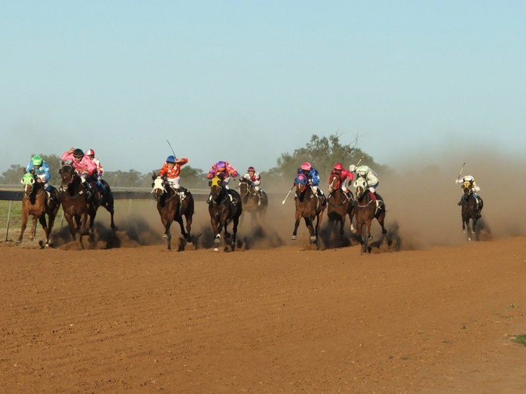 St-George-Jockey-Club-06-website.jpg